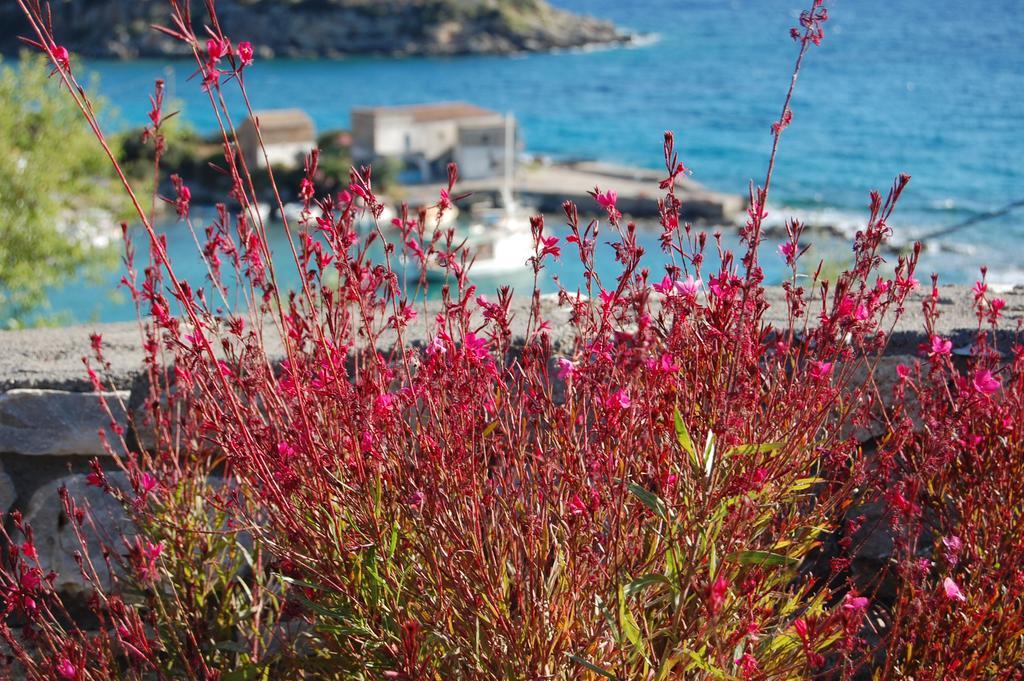 Meropi Villas 카르다밀리 외부 사진